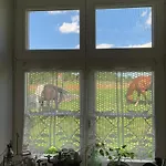 度假居 Rancho „czajone Na Pigwowcu” Lelkowo