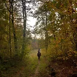 度假居 Rancho „czajone Na Pigwowcu” *
