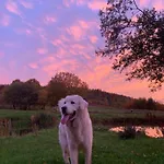 Rancho „czajone Na Pigwowcu” *