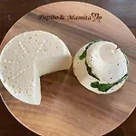 Rancho „czajone Na Pigwowcu” 度假居 *