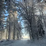 Rancho „czajone Na Pigwowcu” Lelkowo