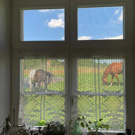 펜션 Rancho „czajone Na Pigwowcu” Lelkowo