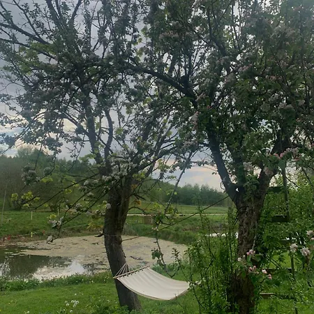 Rancho „czajone Na Pigwowcu”