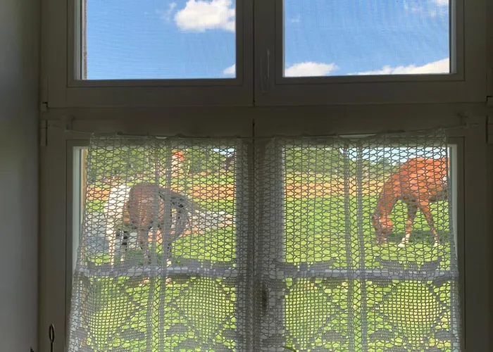 Дом отдыха Rancho „czajone Na Pigwowcu” Lelkowo