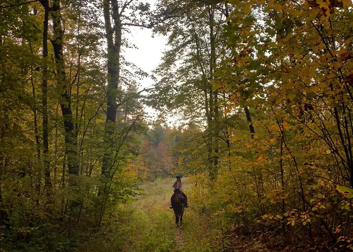 Дом отдыха Rancho „czajone Na Pigwowcu” *