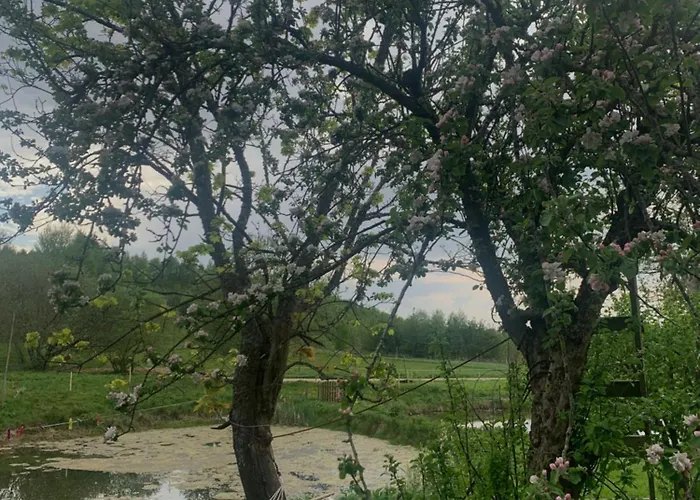 Rancho „czajone Na Pigwowcu”