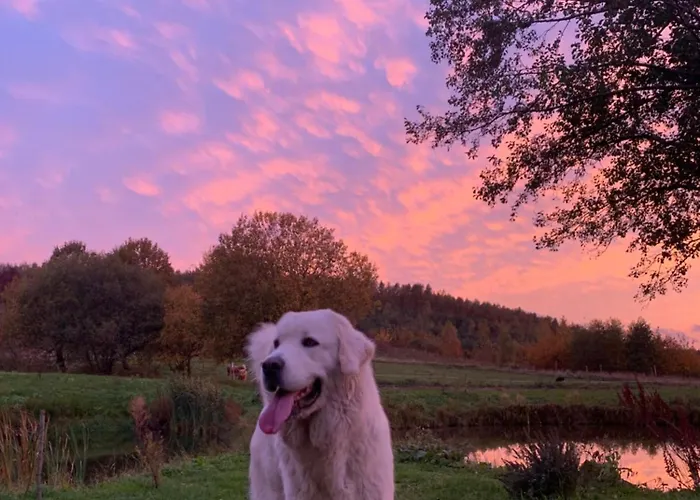 Rancho „czajone Na Pigwowcu” *