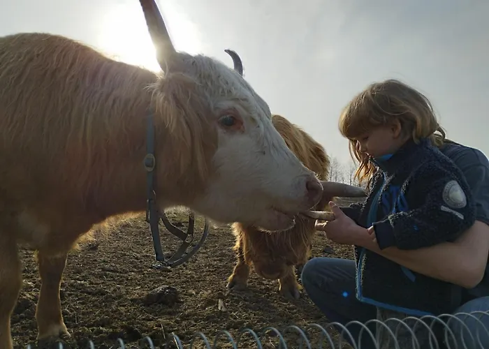 Rancho „czajone Na Pigwowcu” Lelkowo
