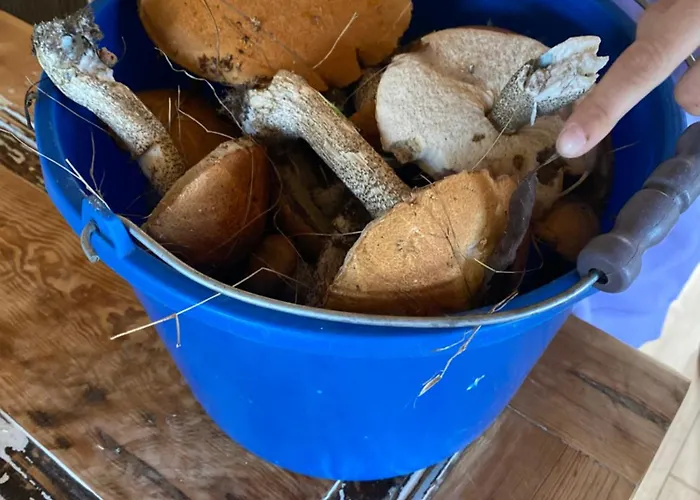 Rancho „czajone Na Pigwowcu” Дом отдыха *