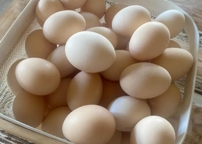 Rancho „czajone Na Pigwowcu” Дом отдыха Lelkowo