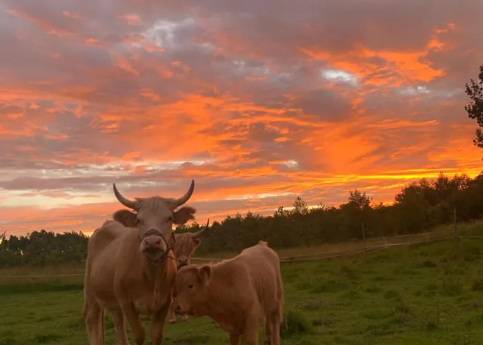Rancho „czajone Na Pigwowcu” Дом отдыха Lelkowo