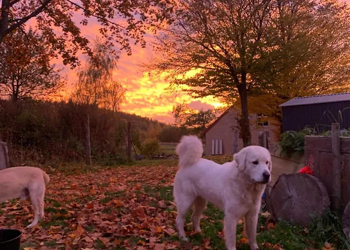 Rancho „czajone Na Pigwowcu” Дом отдыха Lelkowo