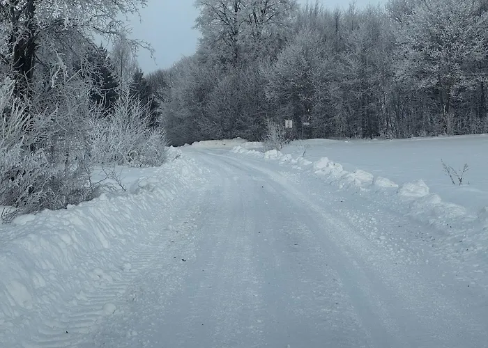 Rancho „czajone Na Pigwowcu” * Lelkowo
